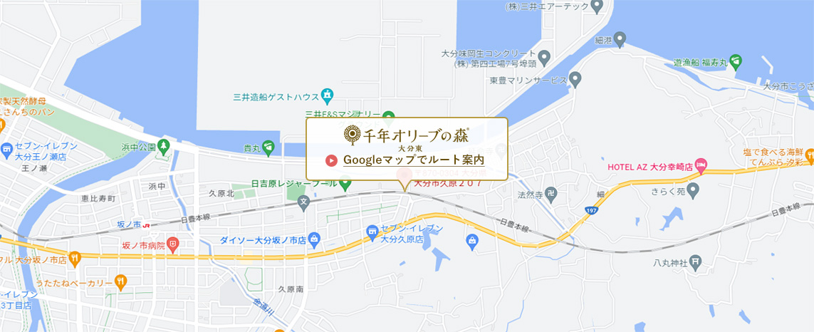 千年オリーブの森 大分東 マップ