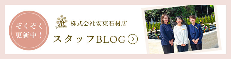 スタッフブログ