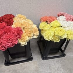 💐本日は母の日💐