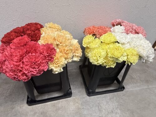 💐本日は母の日💐