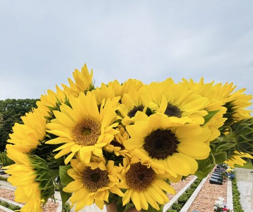 🌻本日は父の日🌻
