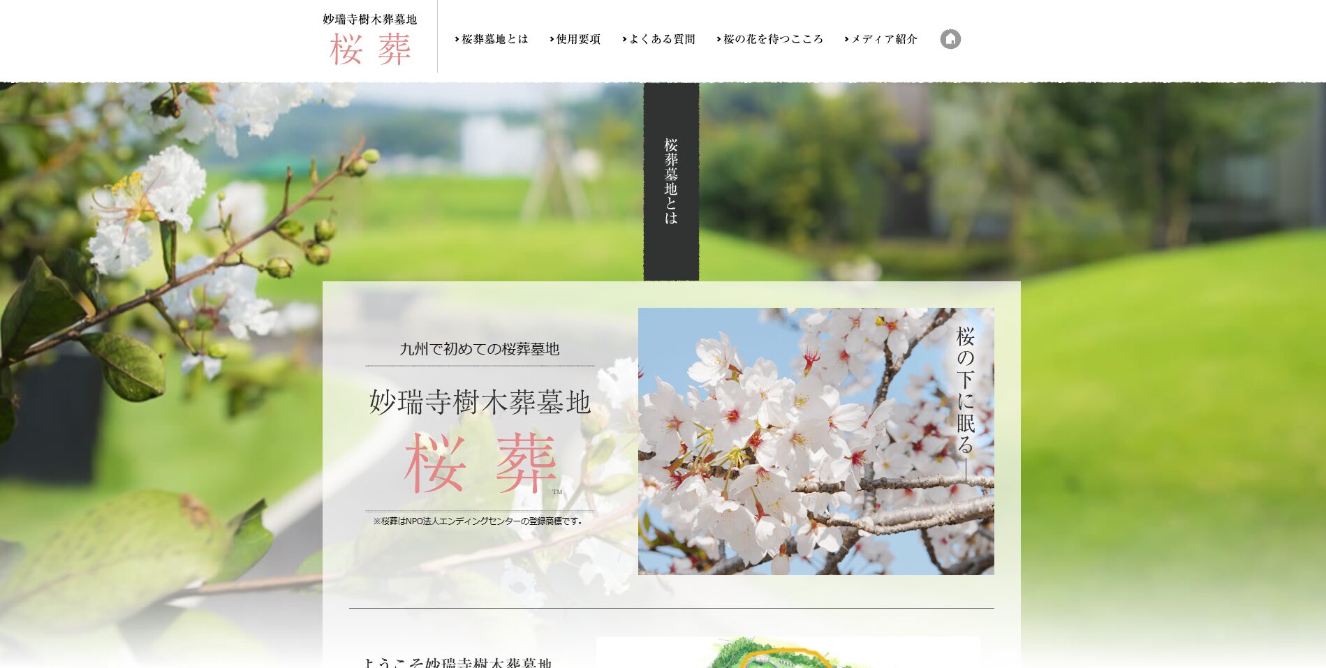 妙瑞寺樹木葬墓地 桜葬