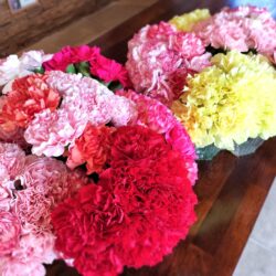 💐2026・母の日💐