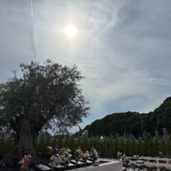 お盆の合同供養祭を執り行いました。